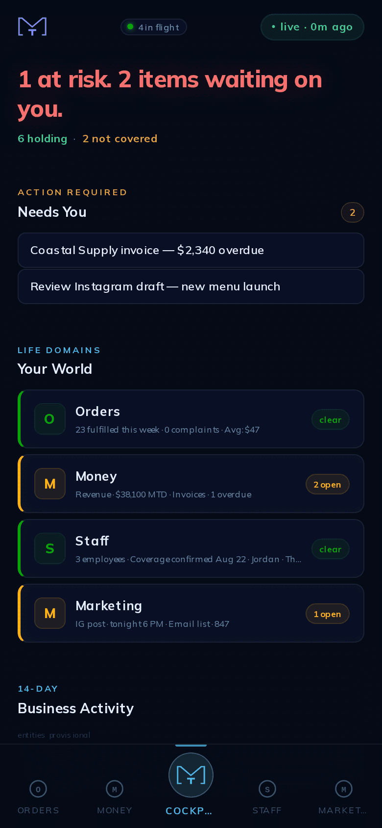 Business Owner cockpit — verdict, needs-you items, and domain cards for Orders, Money, Staff, and Marketing
